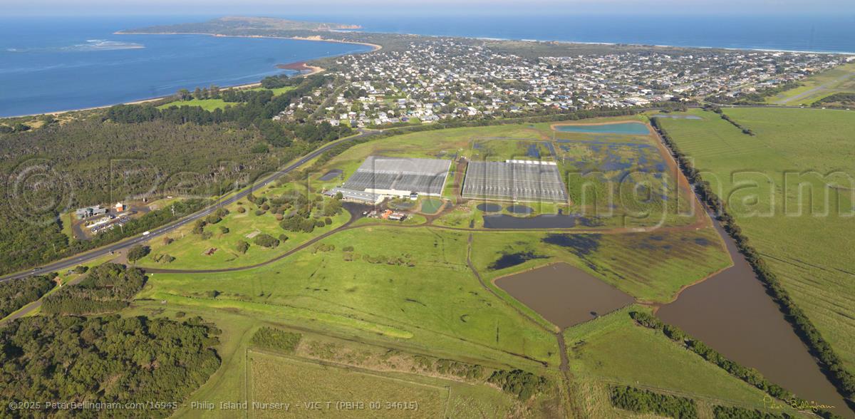 Peter Bellingham Photography Philip Island Nursery - VIC T (PBH3 00 34615)